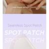 ISNTREE Onion Newpair Spot Patch Skin Fit