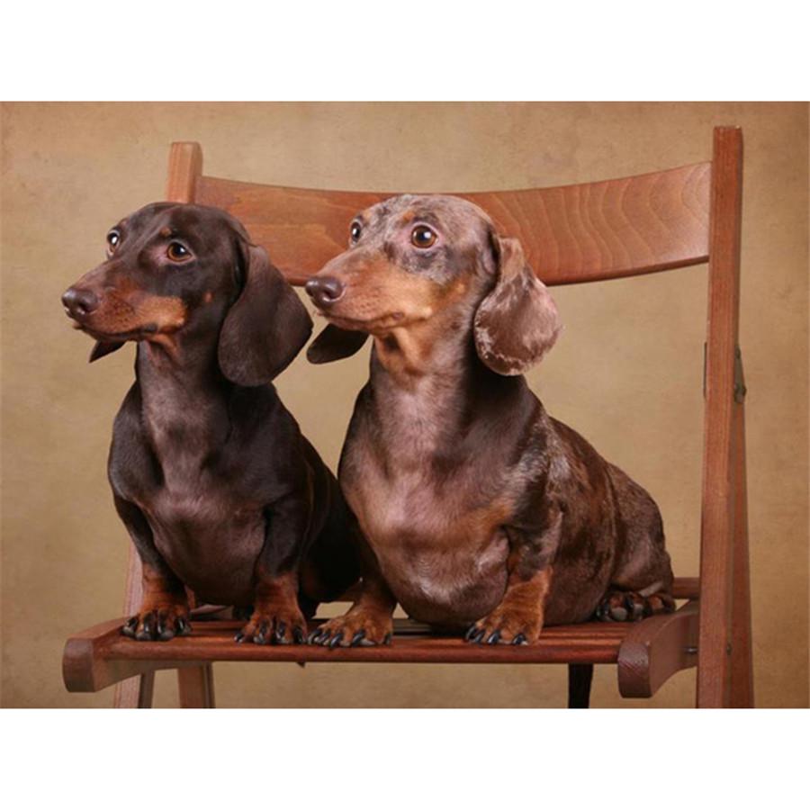 Kompletní 5D kutilské diamantové malování Všechny druhy psů Diamantové vyšívání Sady křížkového stehu Domácí dekorace Ručně vyrobený dárek