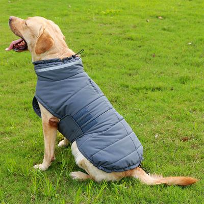 Giyim ve ayakkabı – Köpekler için yelekler ve gömlekler