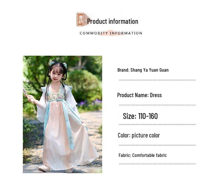 Girls' 2025 Summer Hanfu Fairy Princess Dress – Ancient-Style Ruqun Tang Suit for Little Girls
