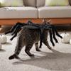 Pohodlné oblečení pro kočky Halloweenský pavoučí kostým pro mazlíčky pro malé psy a kočky, Cosplay obleček s kreativními doplňky Nastavitelné popruhy Strašidelné svátky