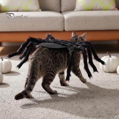Comfortable Cat Clothing Halloween Spider Pet Costume for Small Dogs Cats, Cosplay Outfit with Creative Props Adjustable Straps Spooky Holiday