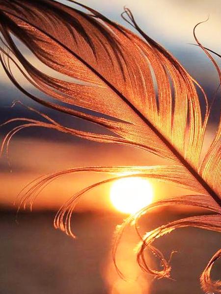 5D DIY Diamond Painting Sunset Cross Stitch Kit Diamond Embroidery Feather Mosaic Scenery Sale Picture Rhinestones Art