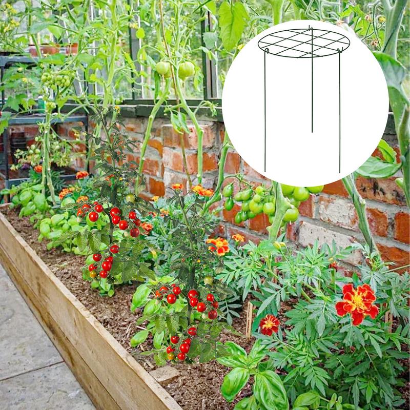 Plant Trellis Indoor Stable 3 Pieces Iron Plant Support Multifunctional Garden Supplies For Potted Planter Propagation Raised