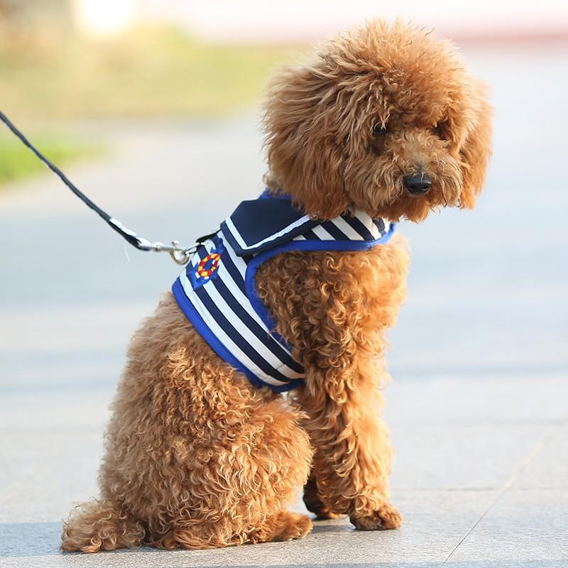 Navy Style Retro Dog Leash & Harness for Small to Medium Dogs L (Chest 40) тёмно-синий