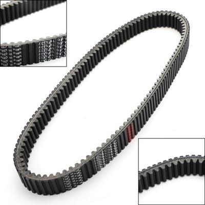Motor – Correas de transmisión y correas dentadas