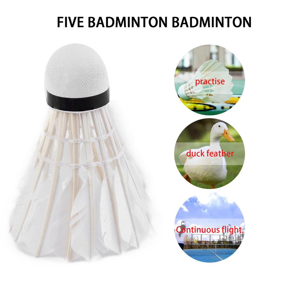 Buy USS 5Pcs Game Sport Training White Duck Feather Shuttlecocks Birdies Badminton Ball at