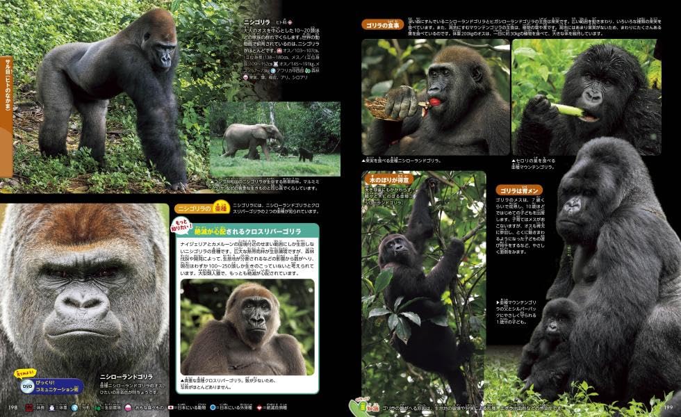 Animals, New Edition, Second Edition (Kodansha's Moving Picture Book MOVE)