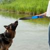 Dog Bite Training Sticks Dog Break Sticks Interactive Protective Dog No Biting Sticks for Strong Dogs Pet Supplies