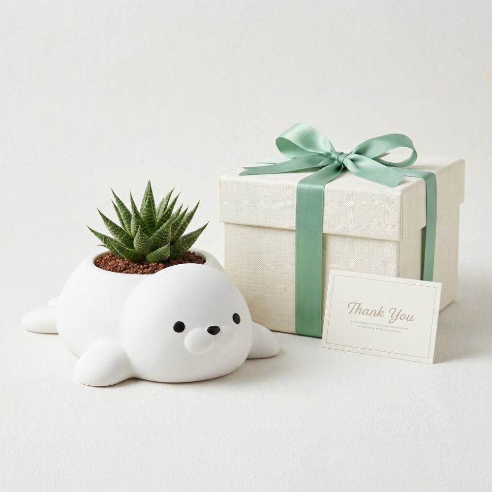 Home Decor Seal Flowerpot Storage Box Desktop Ornaments Potted Plant Containers  Indoor