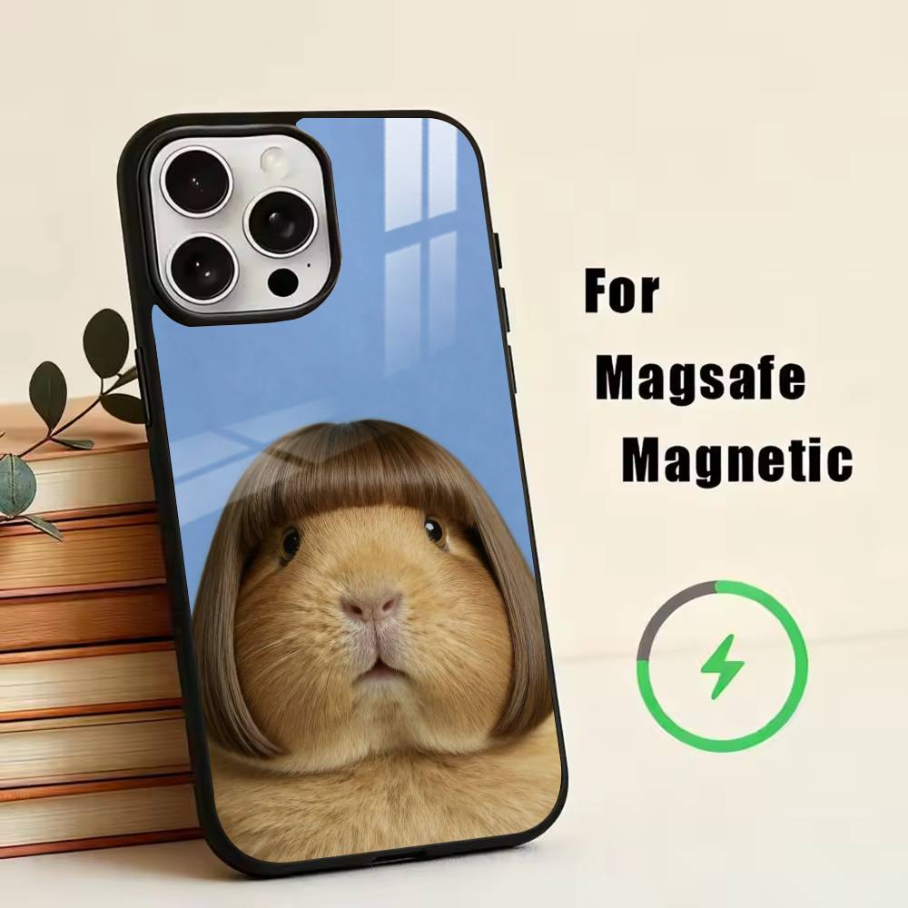 Süßes Capybara Handyhülle Für iPhone17,16,15,14,13,12,11 Plus,Pro Magnetisch mit Magsafe Kabellosem Laden