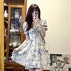 Summer 2024 Floral French Square Neck Puff Sleeve Dress - Women's Short Skirt Trend