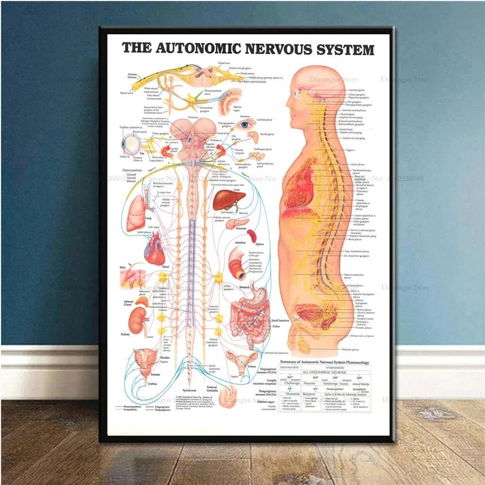 

Абстрактная фигура танцовщицы Холст Живопись Балерина Принты и Постеры Настенное Искусство Картины Для Гостиной Украшение Дома Cuadros 8X12inch 20x30cm