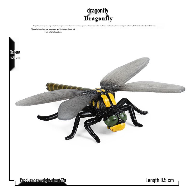 Children s Cognitive Science Toy: Green-headed Fly Model