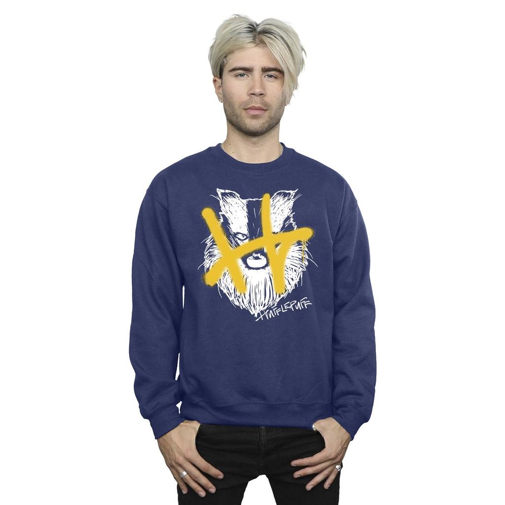HARRY POTTER Mens Hufflepuff Pop Spray Sweatshirt