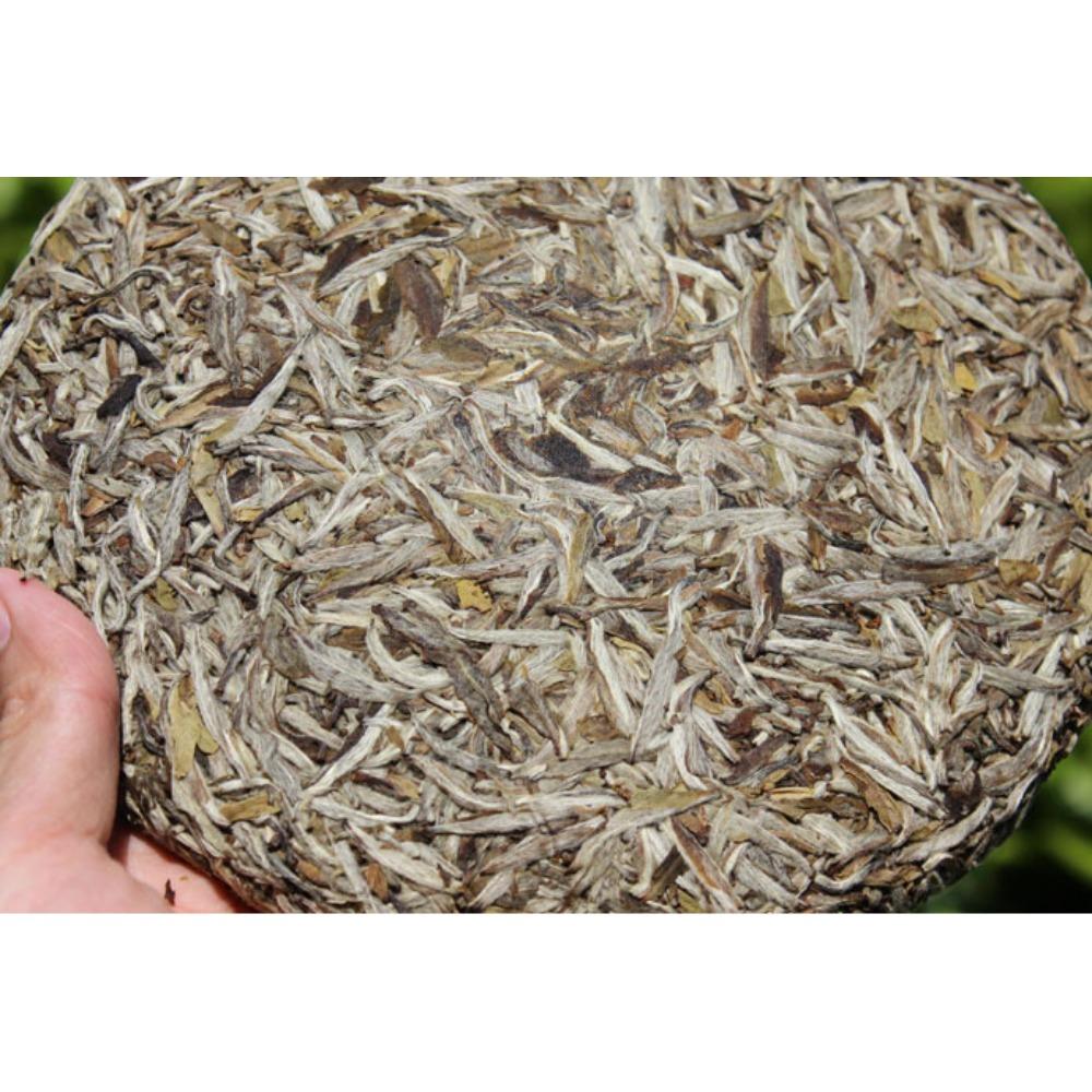300g Fuding White Tea Cake Organic Chinese Silver Needle Loose Leaf Tea