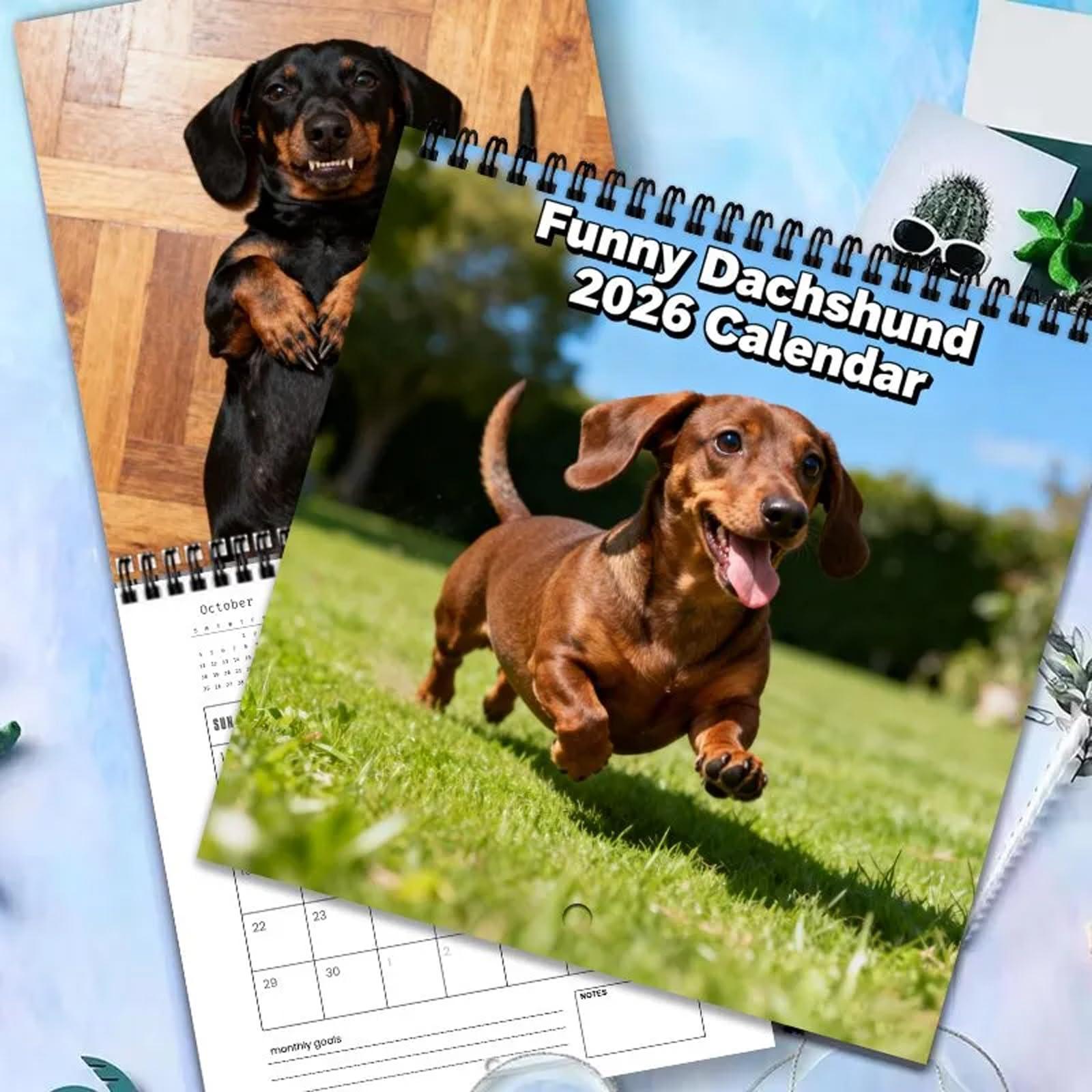 

Настінний календар на 2026 рік, Календар на веселу тематику, Веселий подарунок для спілкування, Ідеальний вибір для домашнього використання. One Size