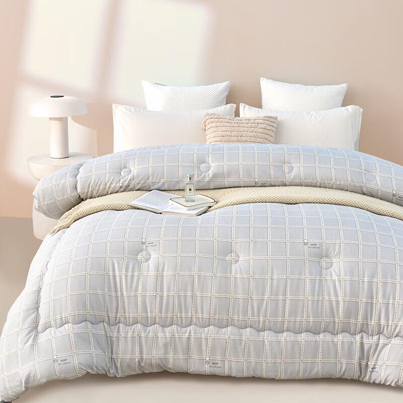 Paul David Yage All-Season Warm Duvet Quilt