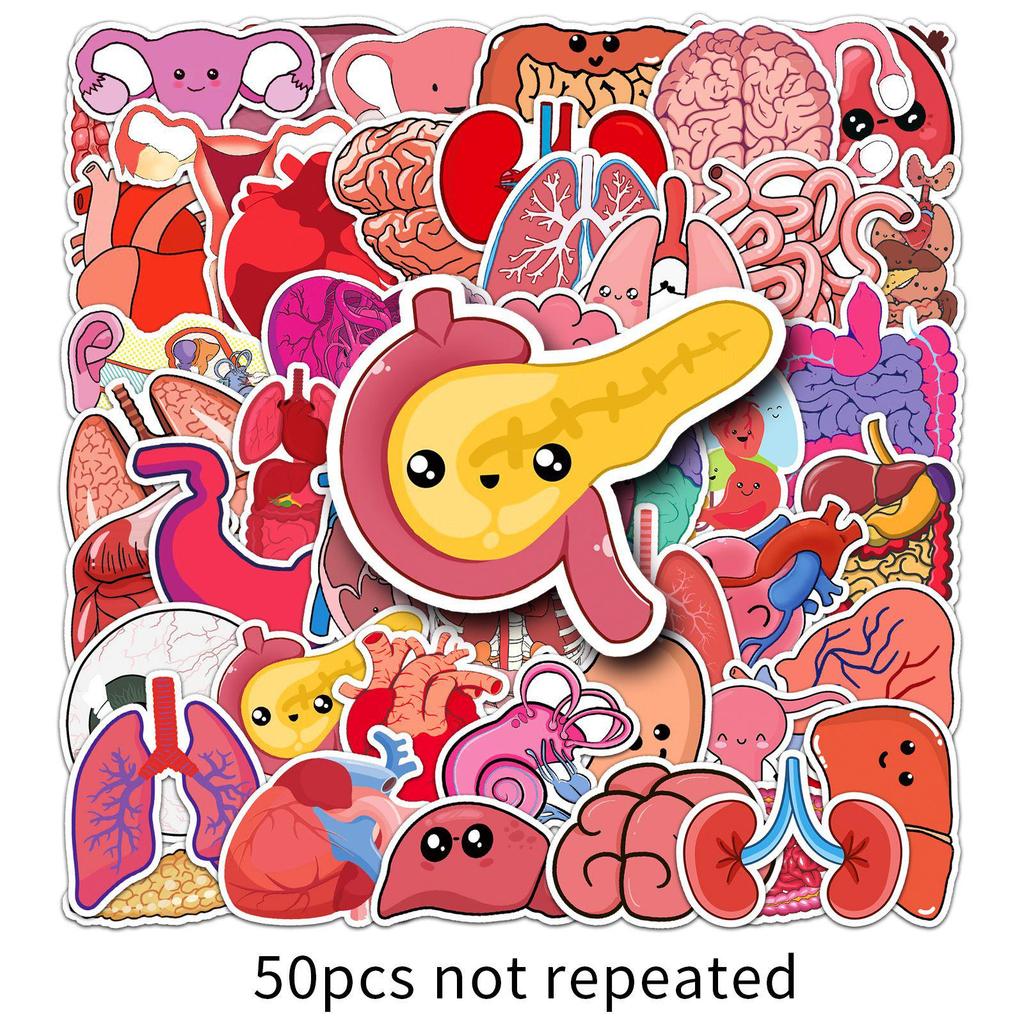 50 Cartoon Human Organ Stickers: Educational & Creative Waterproof Decor for Kids, Phones, & Journals