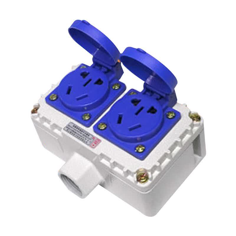 Niusha IP65 Explosion-Proof Industrial Electrical Components