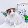 Bowdog Daisy Spitze Strohhut Welpe Katze Sommer