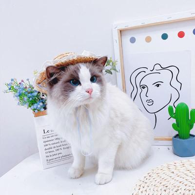 Bowdog Daisy Koronkowe Słomkowe Kapelusz Szczeniak Kot Lato