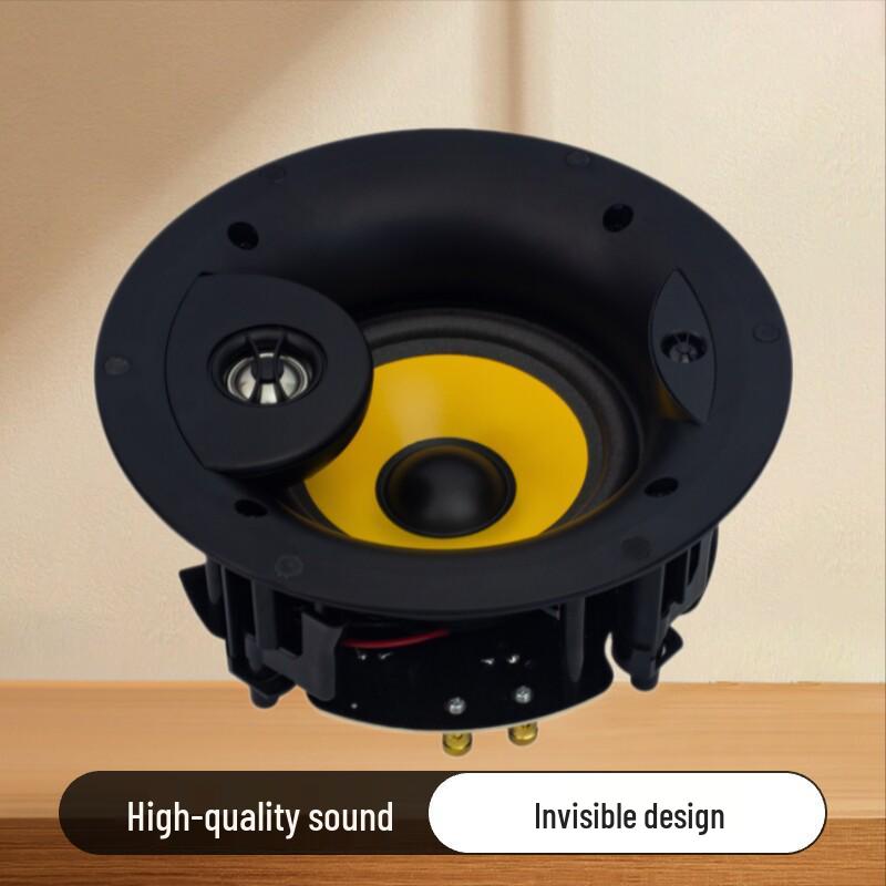 

Tianlai 5.25-inch 3-Way Ceiling Speaker System 925