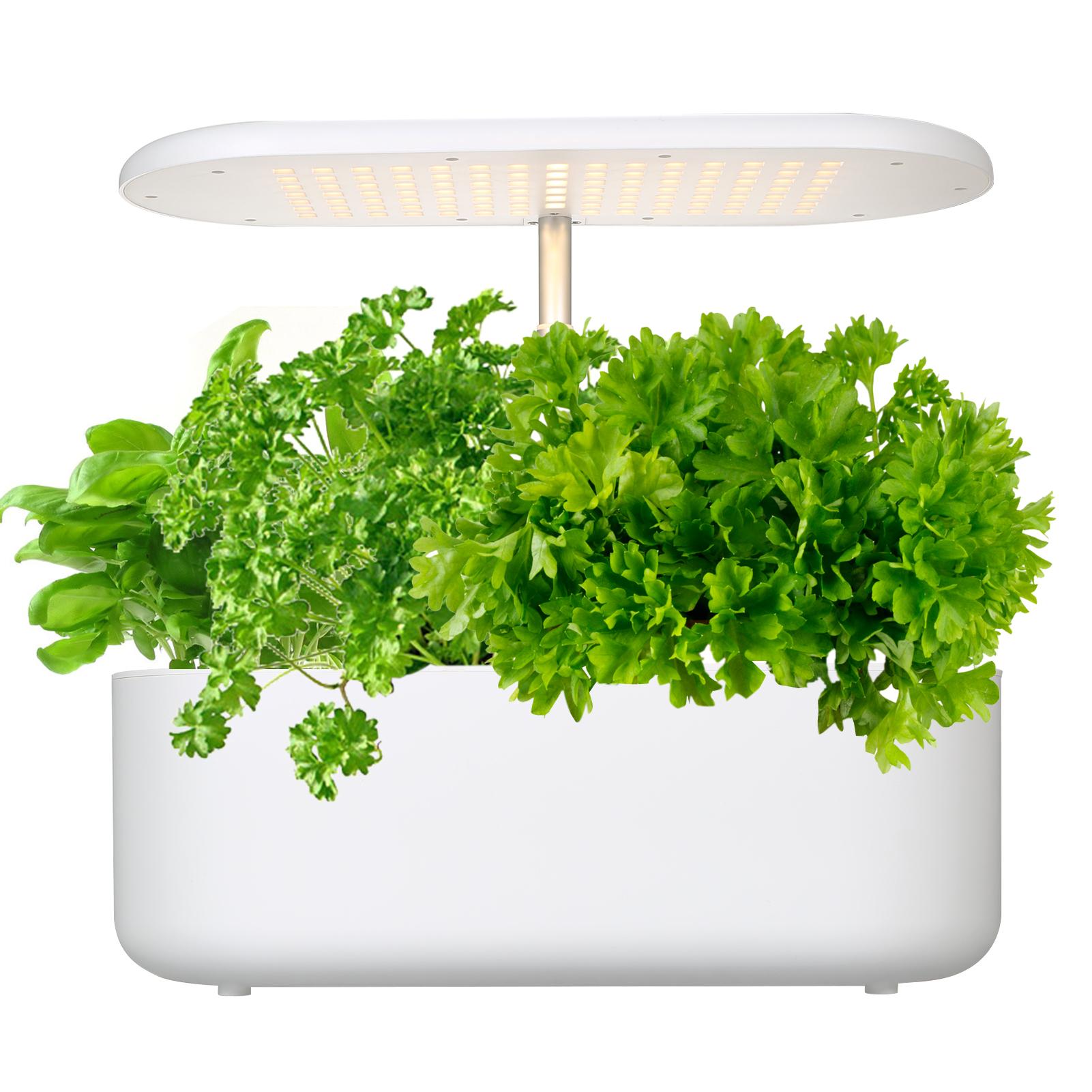 

Гидропоника Система выращивания Регулируемая по высоте Крытый интеллектуальный травяной сад Домашний современный декоративный