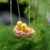 Miniature Birds Micro Landscape Bonsai Succulent Plants Mini Garden DIY Decor