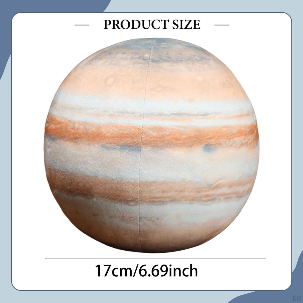 Simulation 3D Stuffed Model Learning Toy for Teacher Adults Sofa