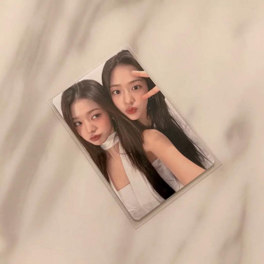 IVE Japan Chairman Jang Won-young Ahn Yu-jin Annyeong's Unit Poka Sales
