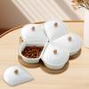 Ceramic Divided Serving Dishes with Lid Relish Tray for Home Kitchen Chips Rotation