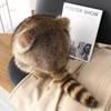Hat Winter Warm Raccoon Dog Plush Hat Children's  Hat Adult Ear protection Bear Lei Feng Hat