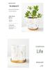 Marble Pattern Ceramic Flower Pot with Gold Tray - Nordic INS Style