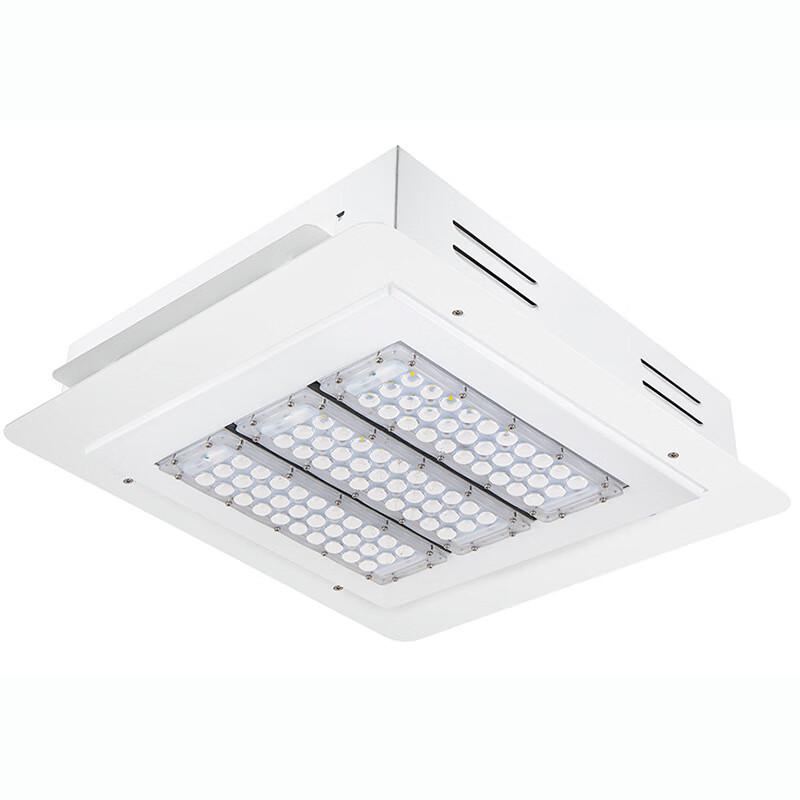 MR MOOSE 120W Outdoor Gas Station Light with Meanwell Power