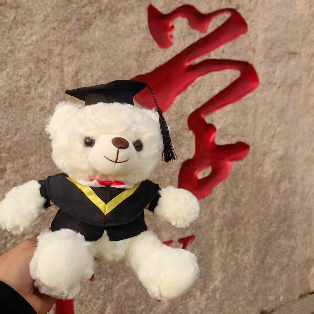 Spielzeug Abschluss Dr. Bärendoll Abschlussbär Schulerinnerungsgeschenk