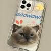 Cute kitten suitable for iPhone17promax mobile phone case Apple 14 large hole 16/13 couple 15