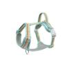 New 2024 No-Pull Dog Walking Harness & Leash Set - Vest Style