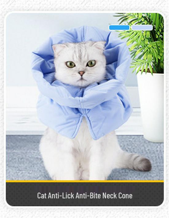 Breathable Cat Neutering Suit: Easy Snap-On Recovery Wear