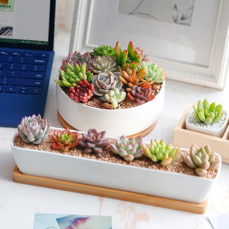 Bamboo Mini Tray Multi Style Storage Trays For Jewelry Photography Props Coaster Flower Pot Base Desktop Storage Supplies