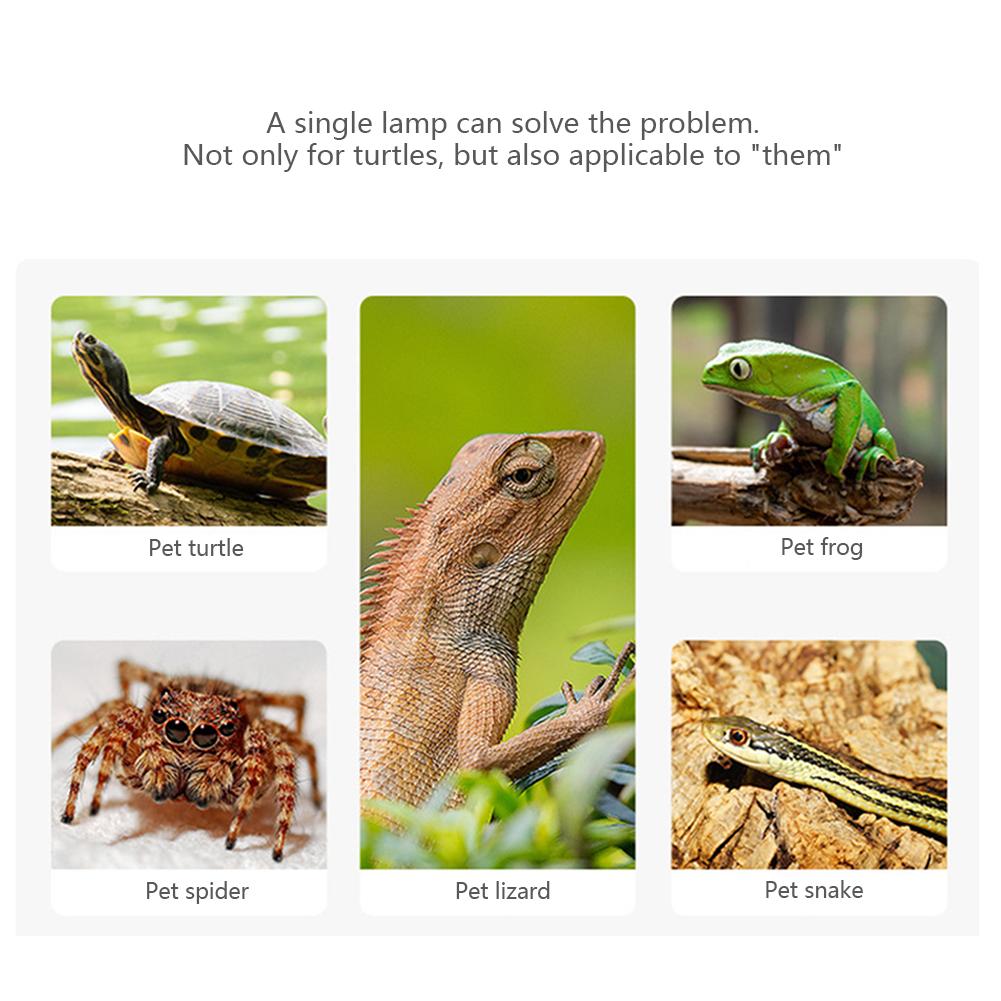 Doppelte Wärmelampenfassung, 360° drehbar, Sonnen-Rückenlampe, Keramik-Lampenfassung für Amphibien, Echsen, Schildkröten, Wärmelampe für kriechende Haustiere