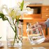 Elegant Glass Flower Vases for Home Decor