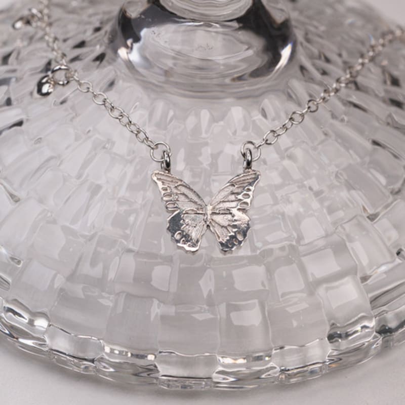 XII WEOL Magnificent butterfly(N)