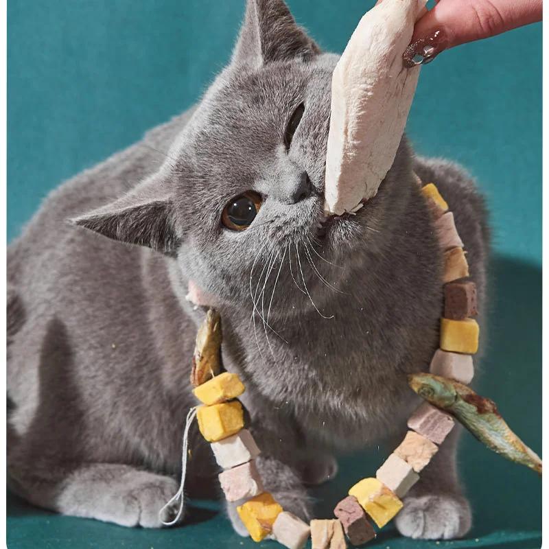 Hrană pentru pisici Gustări pentru pisici Gustare pentru animale de companie Recompensă Gustări interactive pentru pisici Gustări pentru câini liofilizate Hrană pentru căței Antrenament pentru mestecat pentru animale de companie