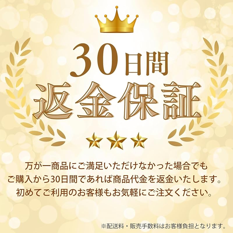 [Recommended by Active Dentists] GALLEIDO Impressive Electric Toothbrush Main Unit + Replacement Toothbrush Set Ultrasound Wireless Charging