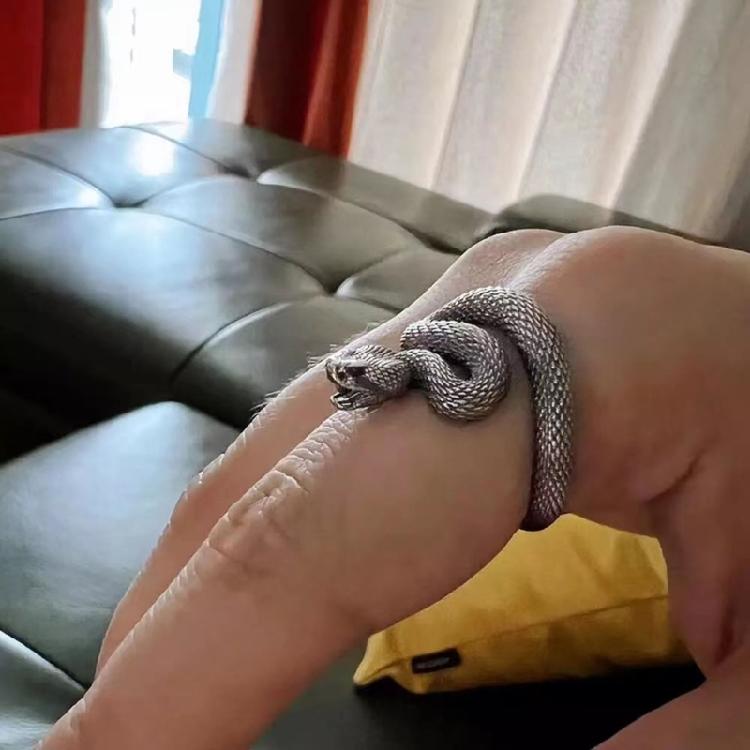 Gothic Rattlesnake Wrap Ring Serpent Adjustable Ring Unisex Birthday Jewelry