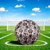 1pc Butterfly Garden Cow Size 5 Soccer Ball Professional Match Training Football Indoor &Outdoor Sports Ball Lightweight Durable C6570