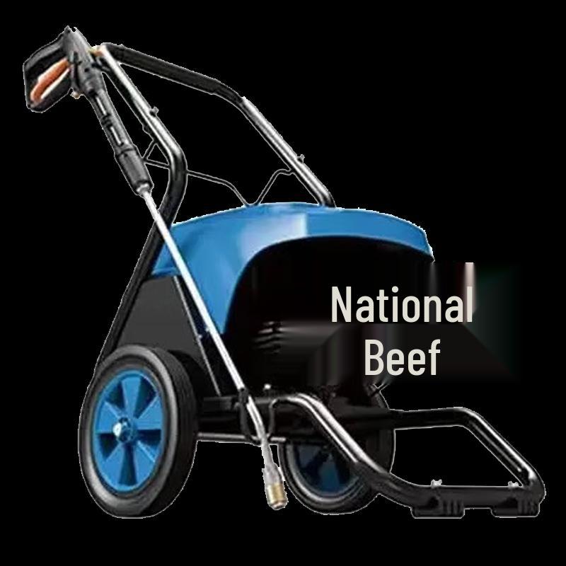 Dongcheng Q1W-FF-912.5 High-Pressure Car Washer