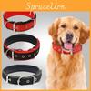 Premium Quality Pet Collar With No Pattern Multiple Colors And Sizes To Choose From