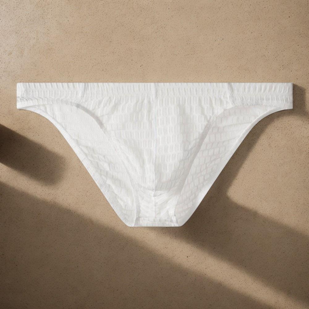 Solid Color Low Waist Men's Briefs Transparent Ultra-thin Ice Silk Underwear Mesh Lingerie See Through Briefs Workout